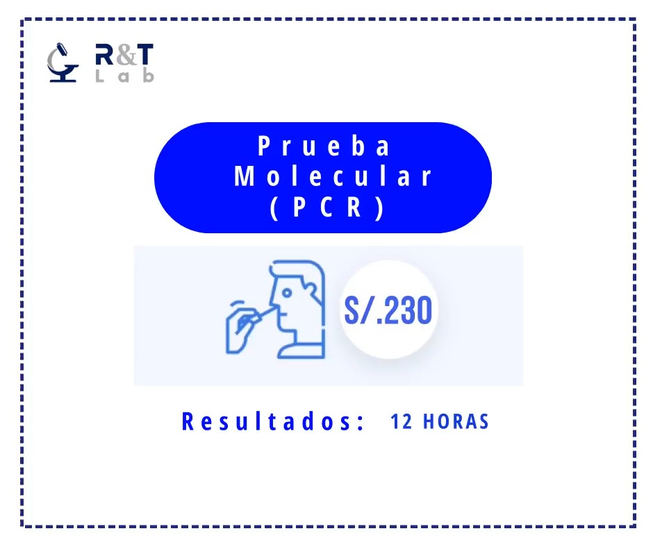 R&T LAB