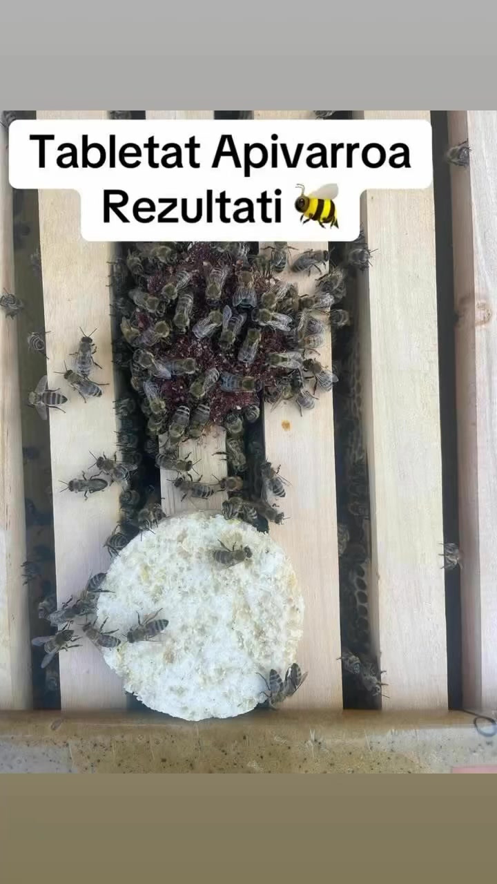 Apivarroa tablet! | Bletari Rayan | Facebook