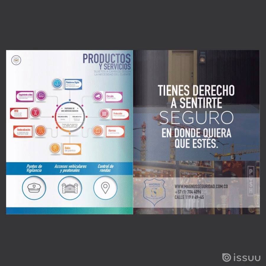 Magnus Seguridad LTDA