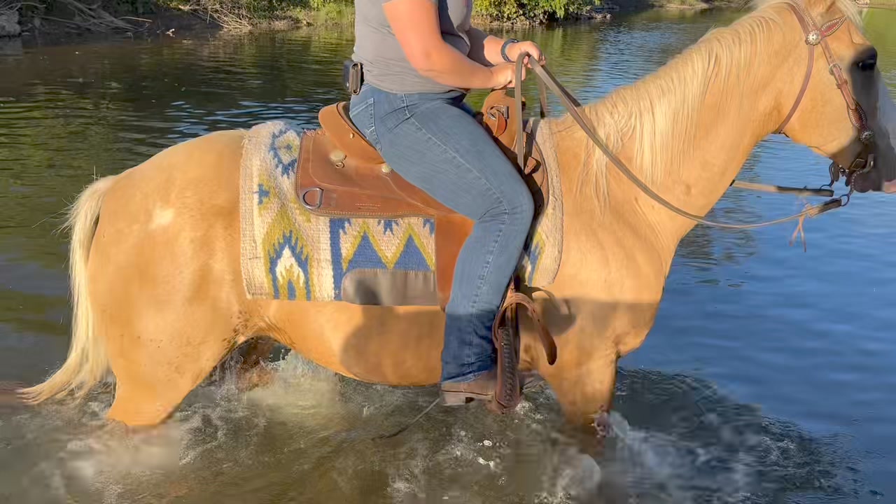 Charlotte Creek Stables Davenport Center NY 