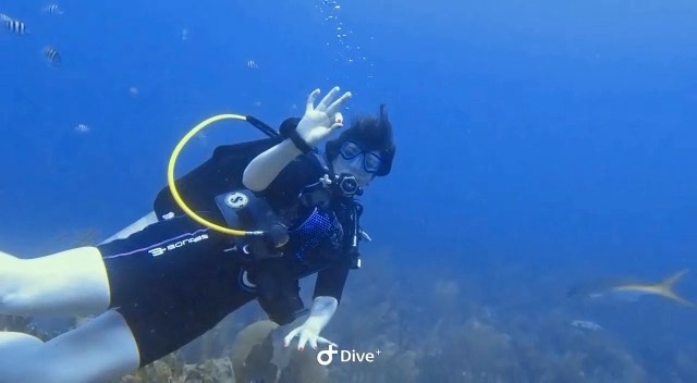 “The best way to observe a fish is to become a fish.” 🐠 Video Credit ...