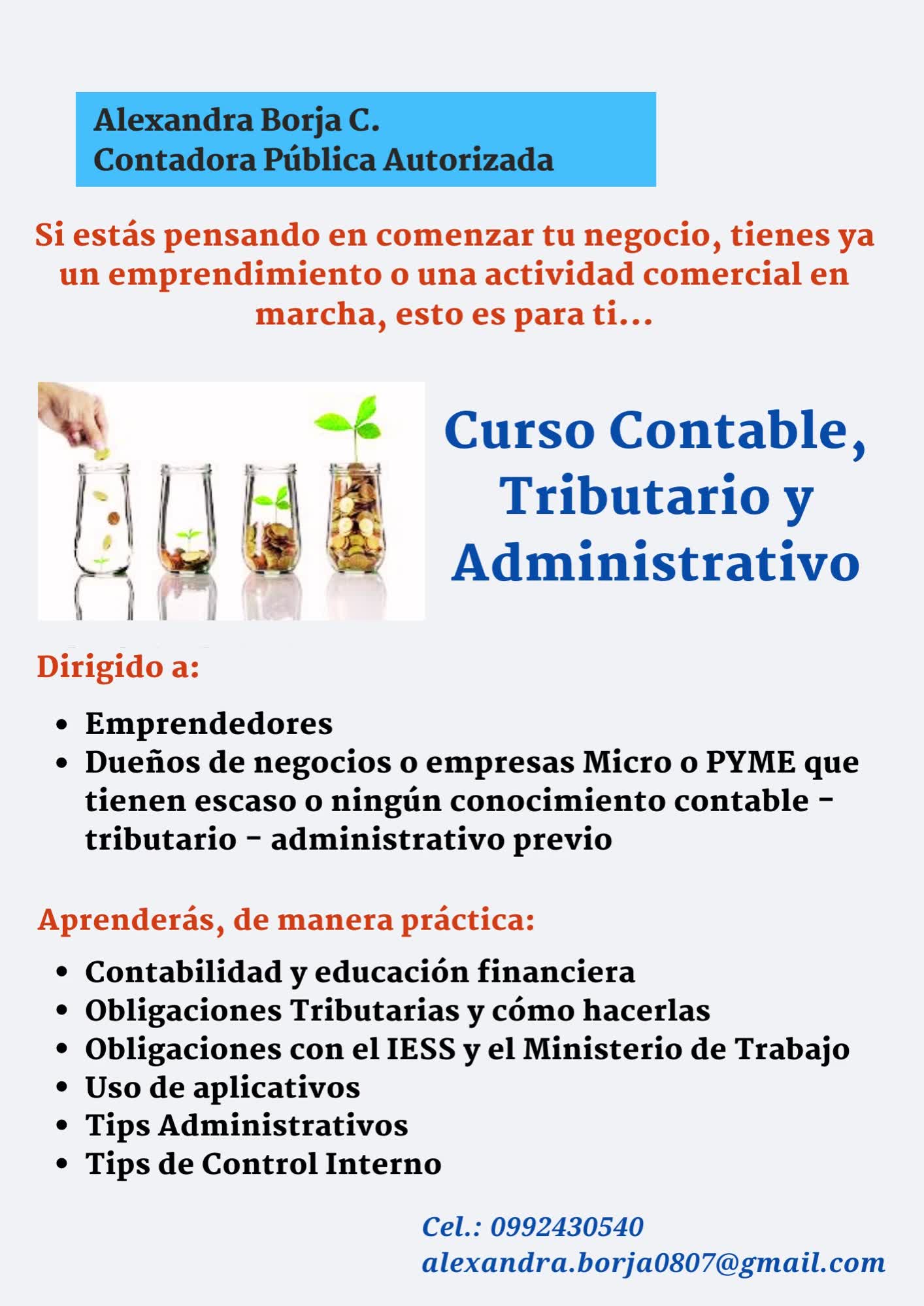SCT Servicios Contables y Tributarios | Chicago IL