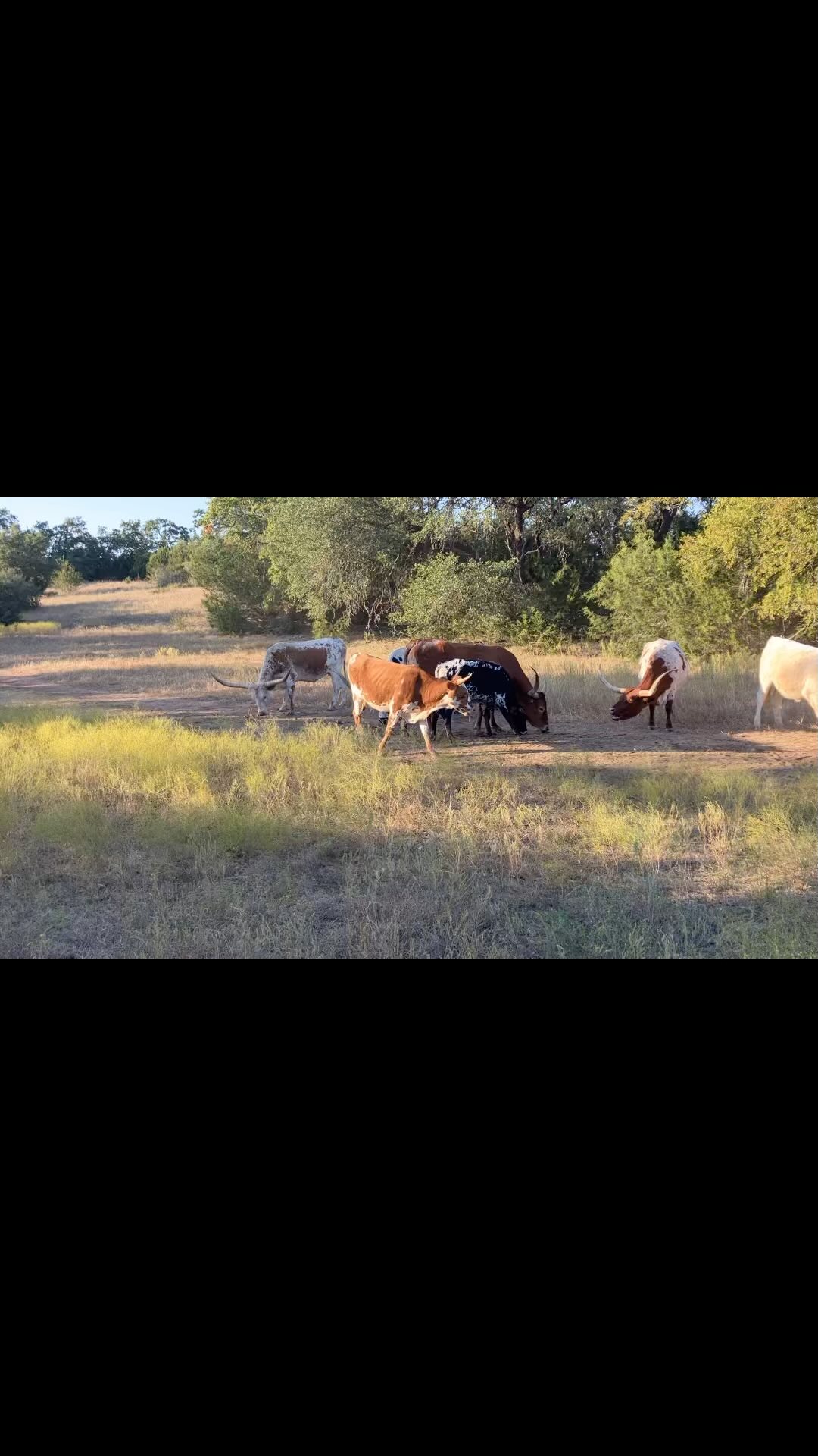 H E C Ranch & Family Farm