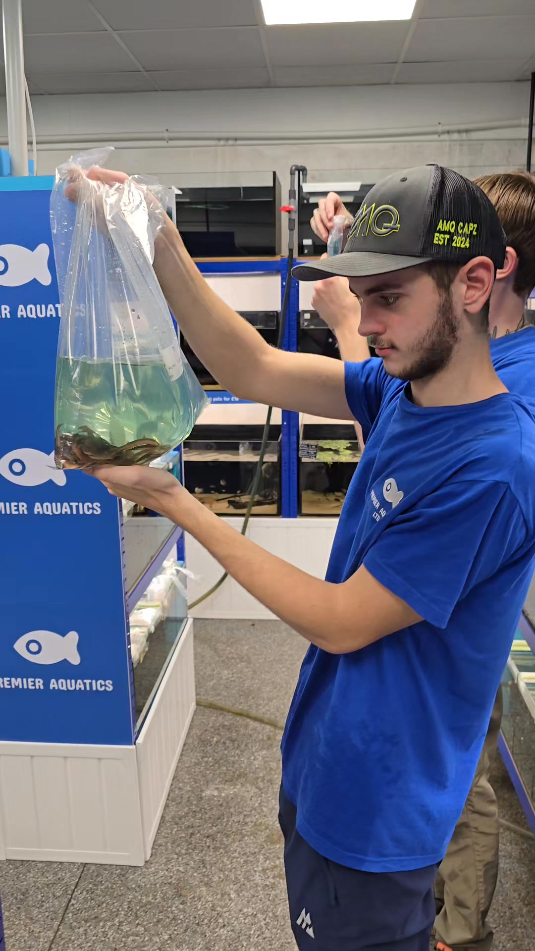 Fish delivery day at Premier aquatics.. our staff are full on fish ...