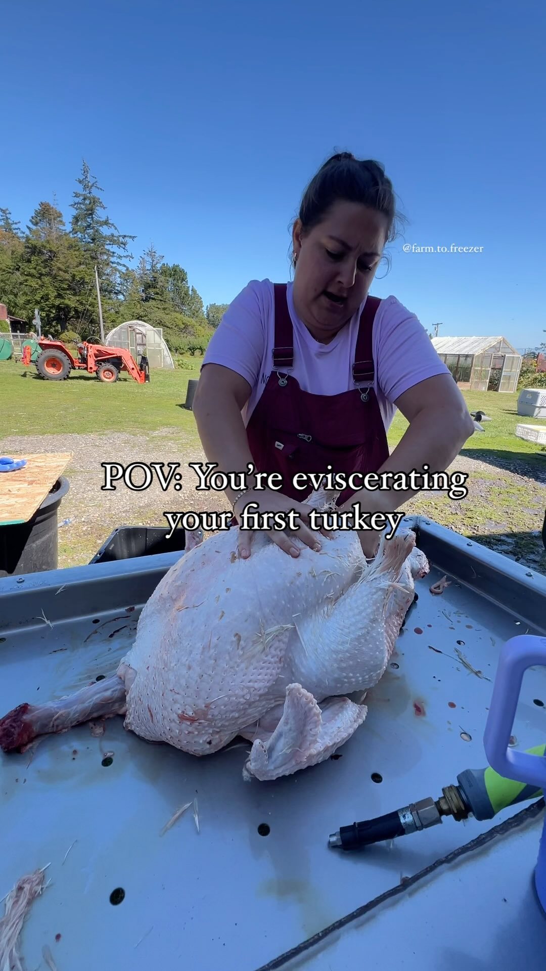 how to field dress a turkey Learn your turkey! 🦃 Join David Hennaman from DWR, as he walks you through how to field dress wild using simple tools and easy-to-follow techniques. From Cooking SIZE:US 18 search MaryBedford Mary Bedford Ganni Crinkled Check Long