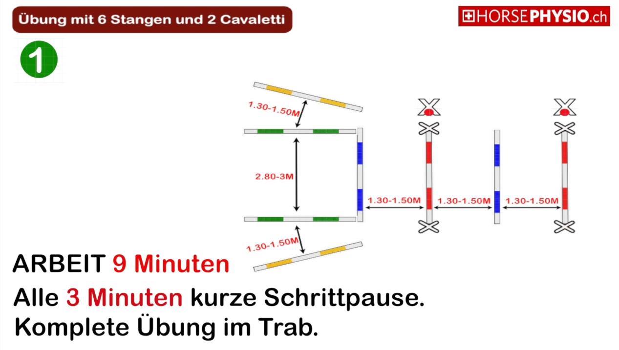 Gute Übung mit 6 Stangen und 2 Cavaletti. Animation auf deutsch. | Gute ...