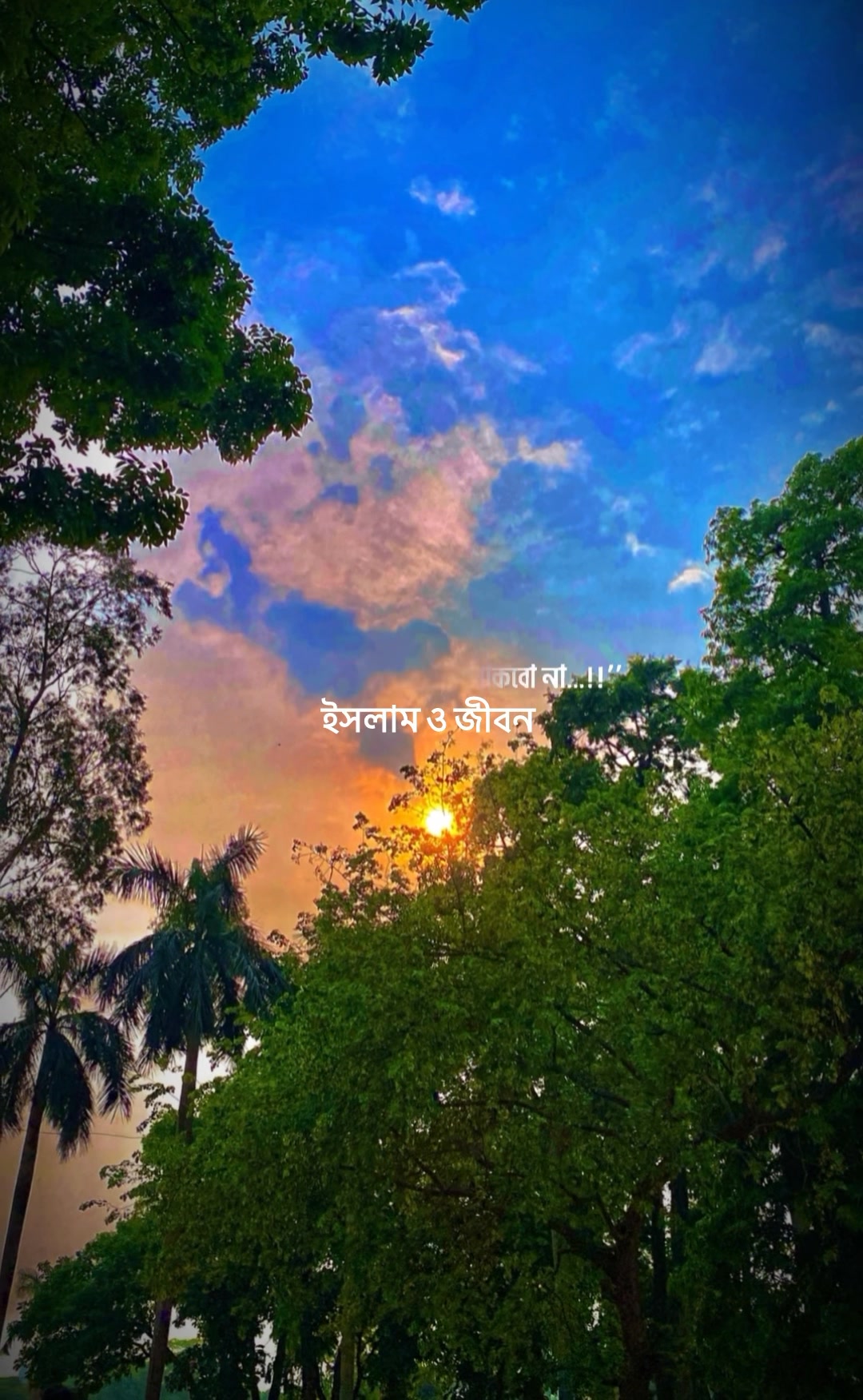 ইসলাম ও জীবন
