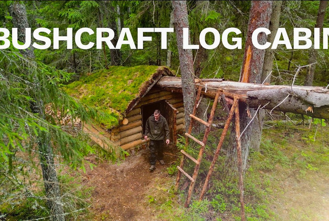 In the wild forest, a bushcraft log cabin was constructed using fallen ...