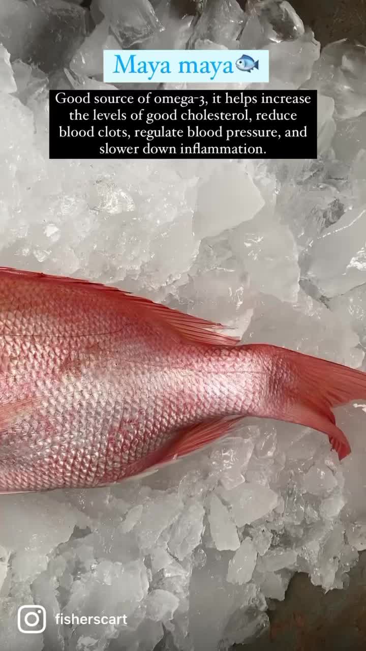 Thinking of changing your choice of food? Try maya maya fish for a ...
