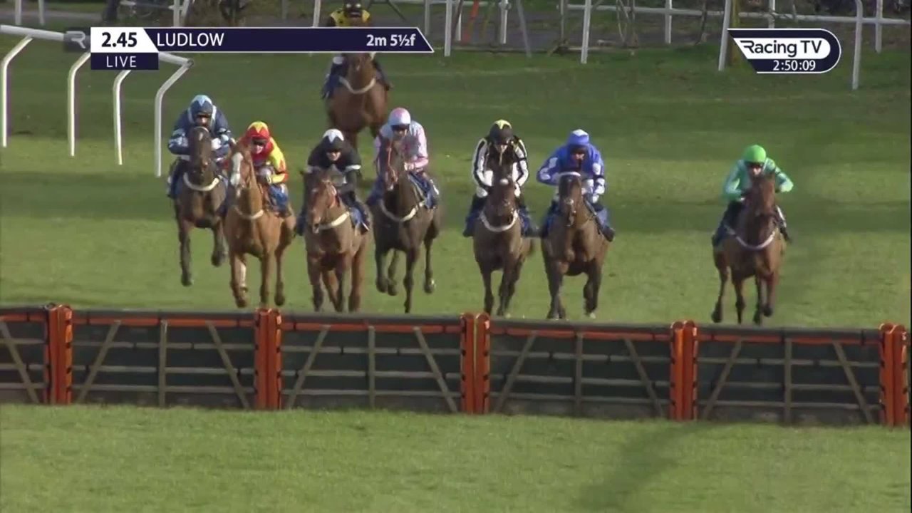 G.C.Rickards Mares' Handicap Hurdle | A sparkling performance from ...