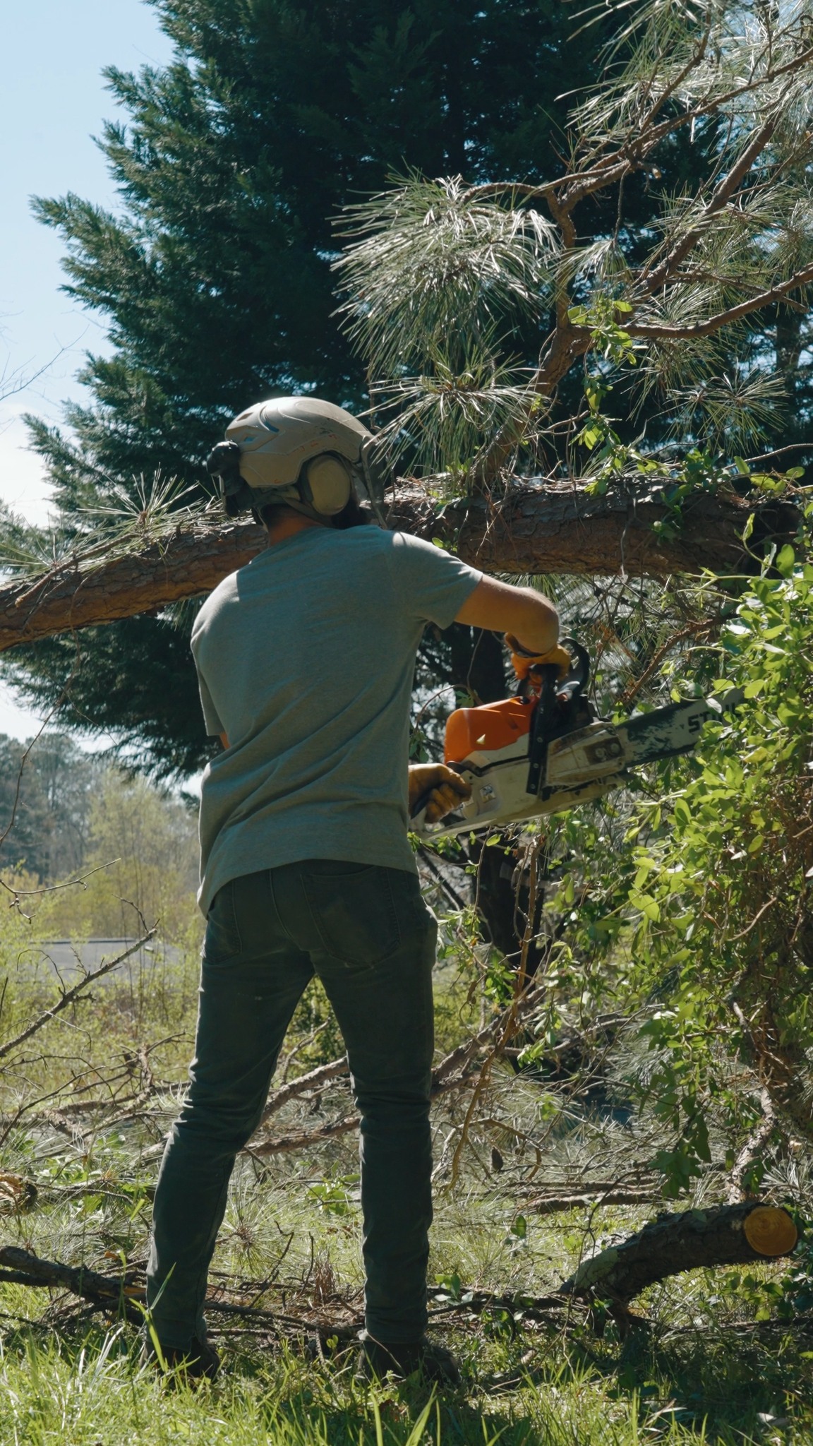 When massive oak limbs hang over a structure, rigging is less about ...