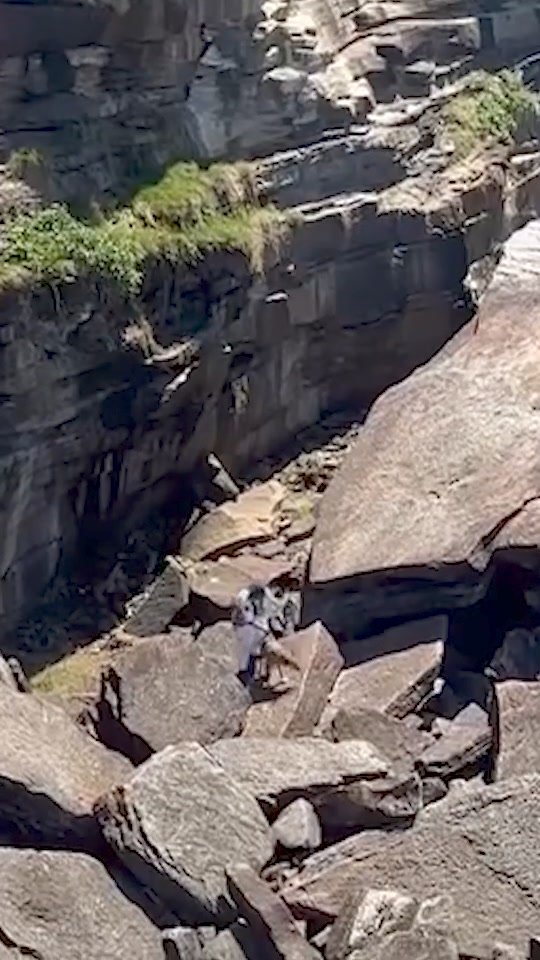 This #FeelGoodFriday is a real tail of adventure! Gus the Kelpie was ...