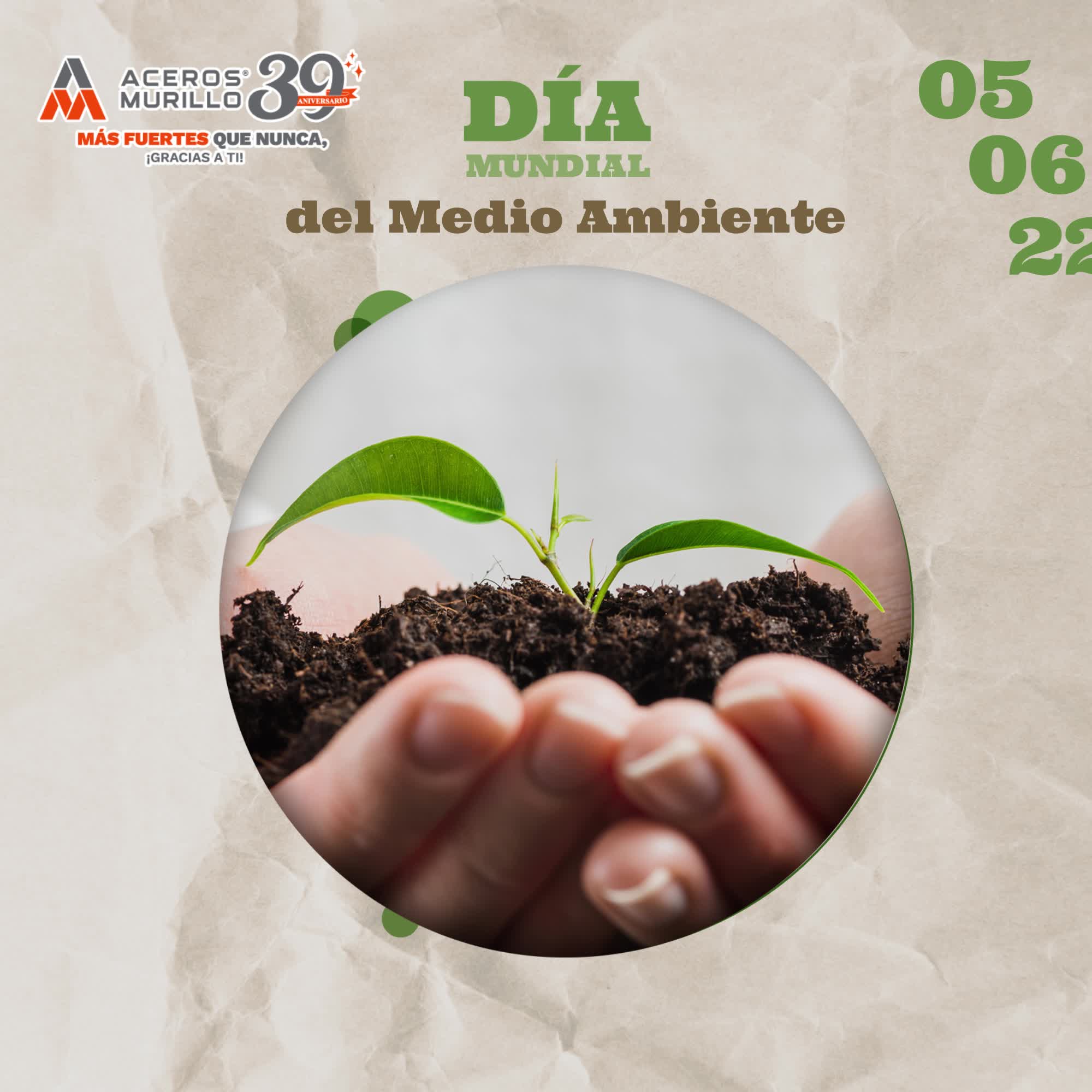 Celebrado cada 5 de junio desde 1973, el Día Mundial del Medio Ambiente ...