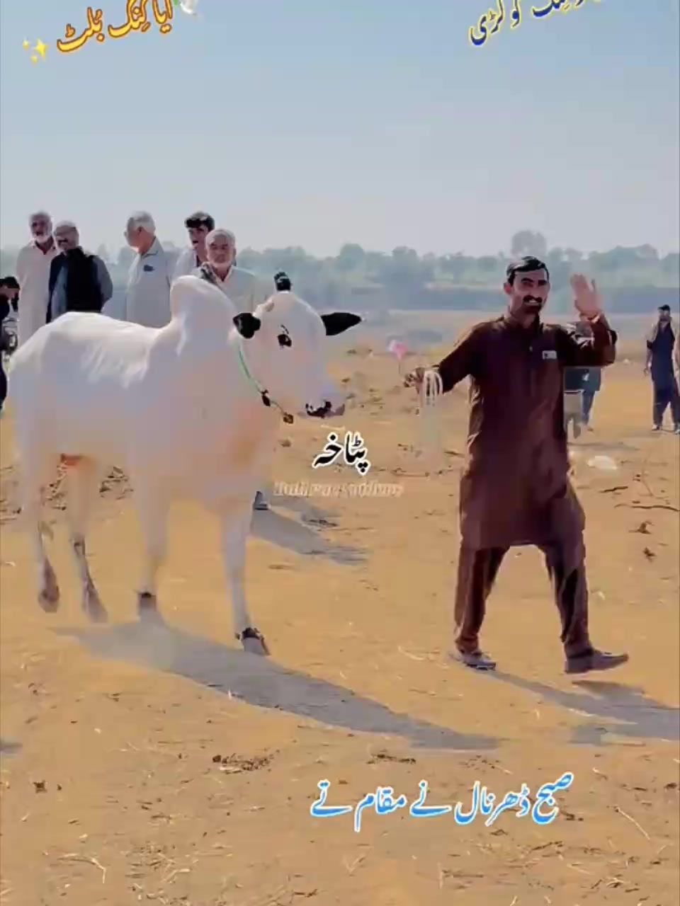 🔥🔥🔥🔥🔥 | ثقافتی شوق | Facebook
