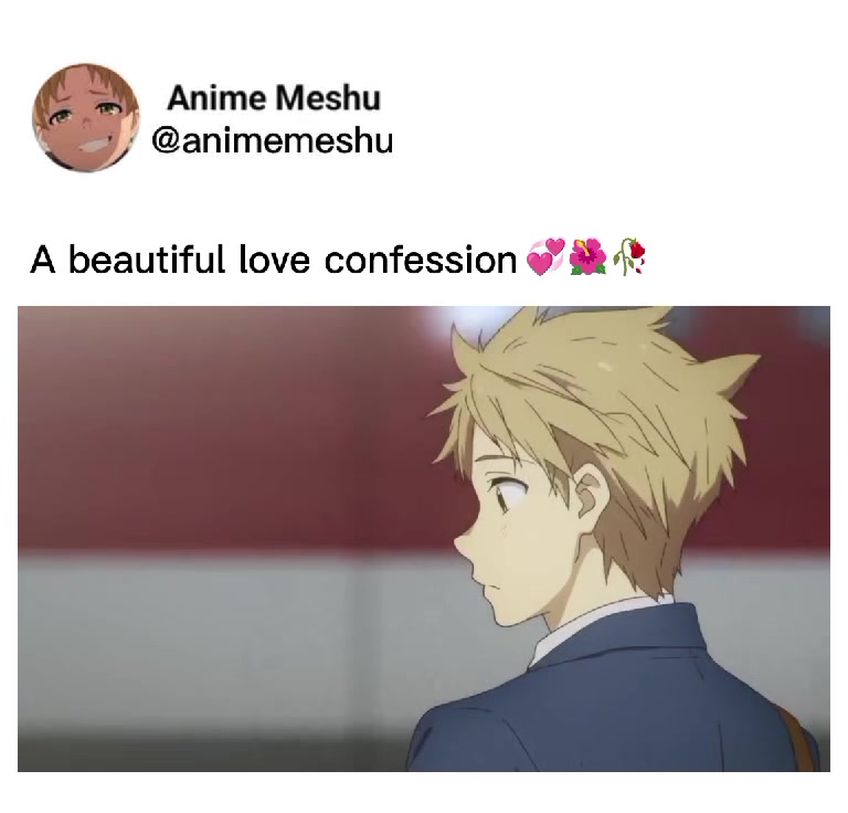 Anime Meshu | Dhaka