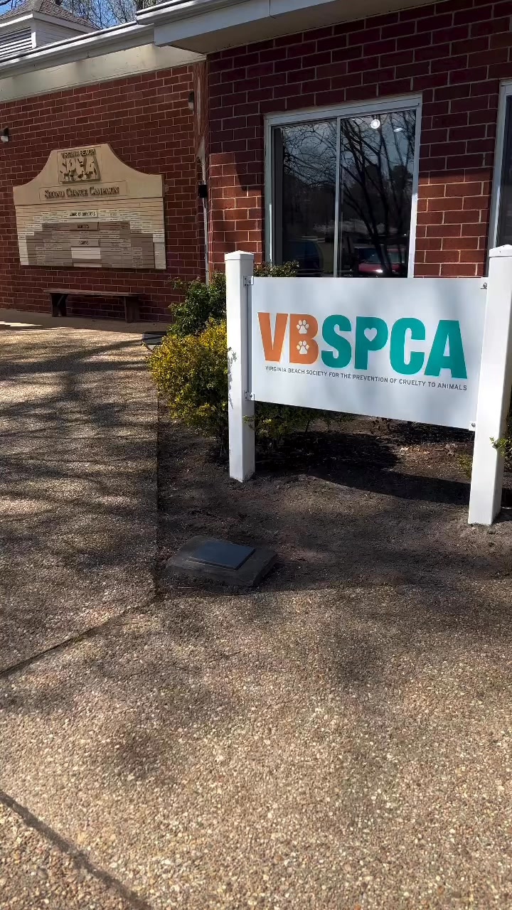 Meet the VBSPCA's longest residents These sweet souls have been waiting ...