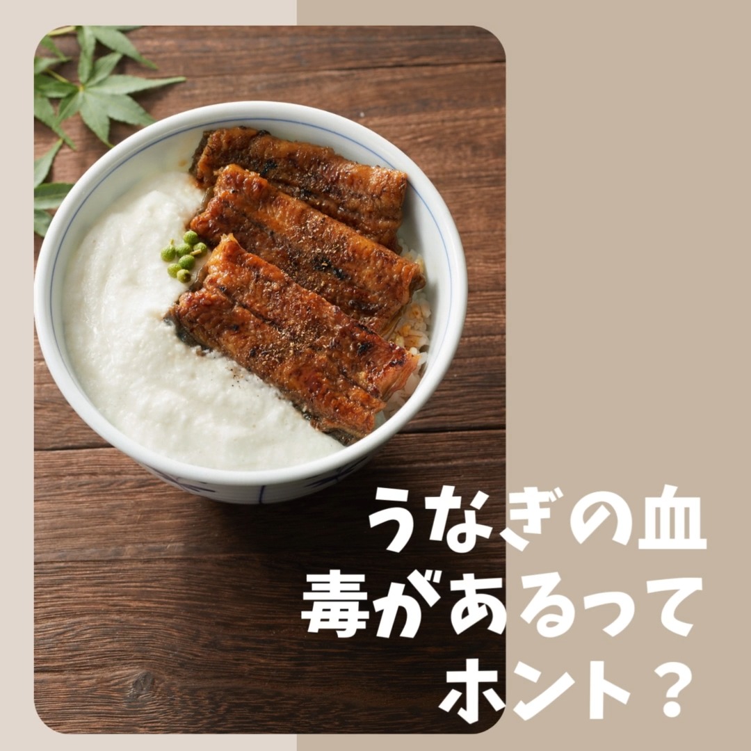 HSK Hamanako うなぎ蒲焼 缶詰 9個セット 製造業者直営店