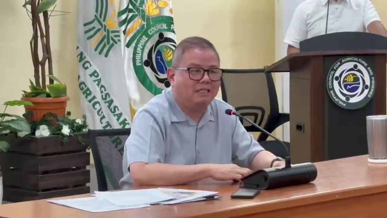 WATCH: Agriculture Secretary Francisco Tiu Laurel Jr. denies that first ...