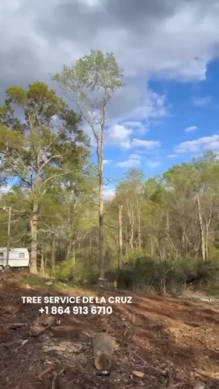 Tree Service De La Cruz | Spartanburg SC