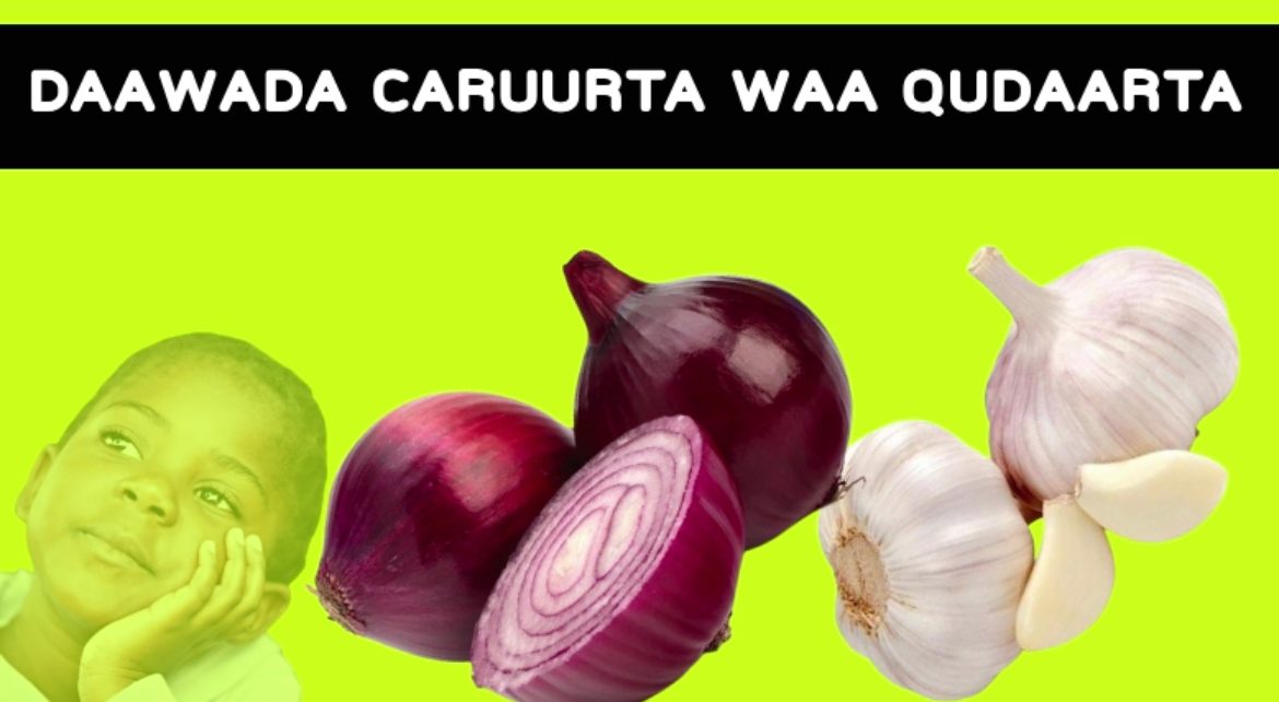 Basasha & Toonta oo Daawo u ah Dhawr Cudur oo Caruurta Ku Dhaca Wax Ka ...