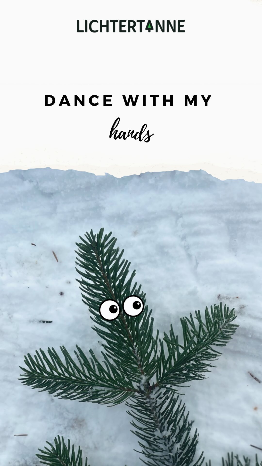 Lichtertanne - 🎬 Wednesday Edition 🫳🏼, ________, Tannenbaum #nordmanntanne #weihnachtsbäume #weihnachtsbaum #rendsburg #wednesday #wednesdayaddams #wednesdaynetflix #funreels | Lichtertanne