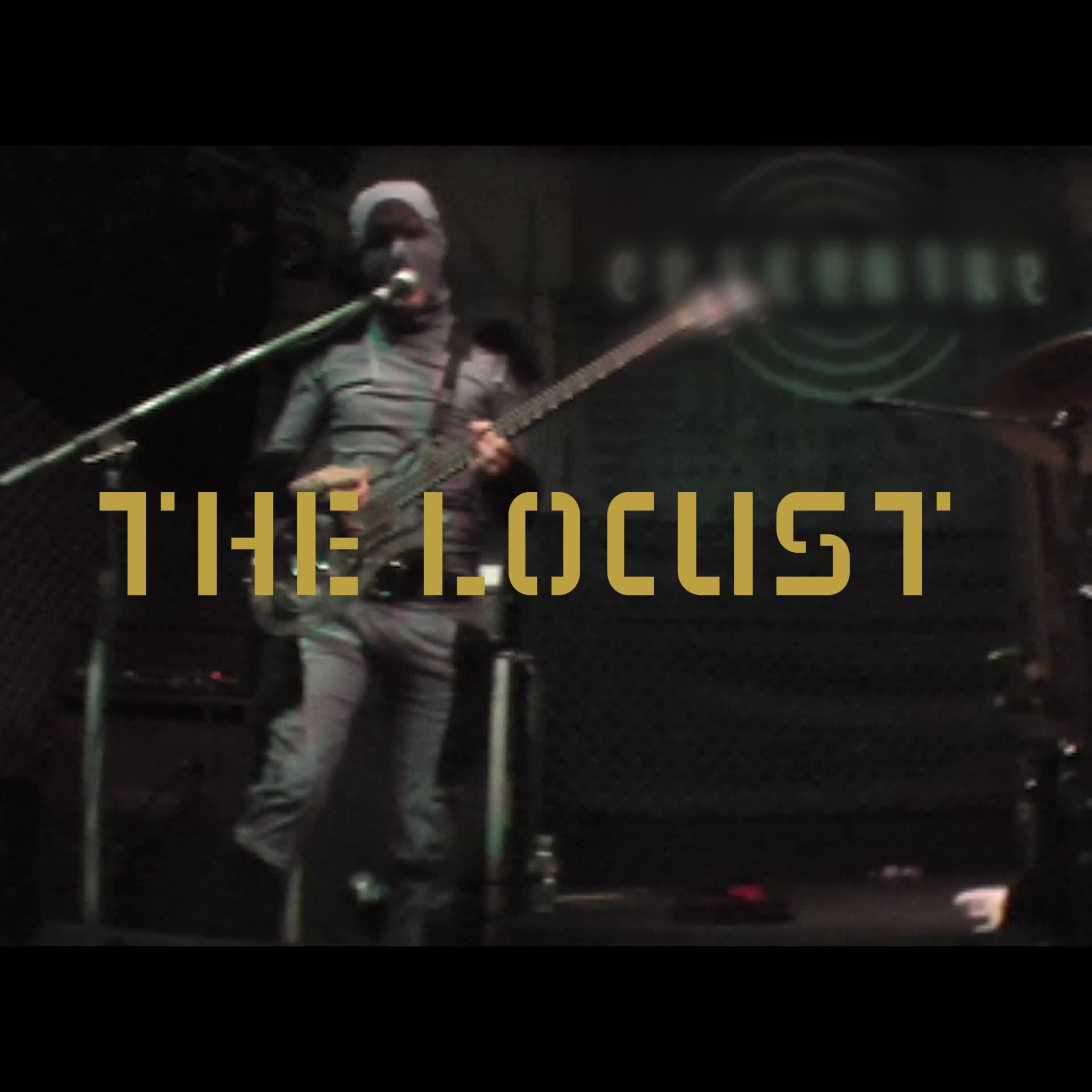 Rick Springfield News: The Locustz (formerly The Red Locusts) are 