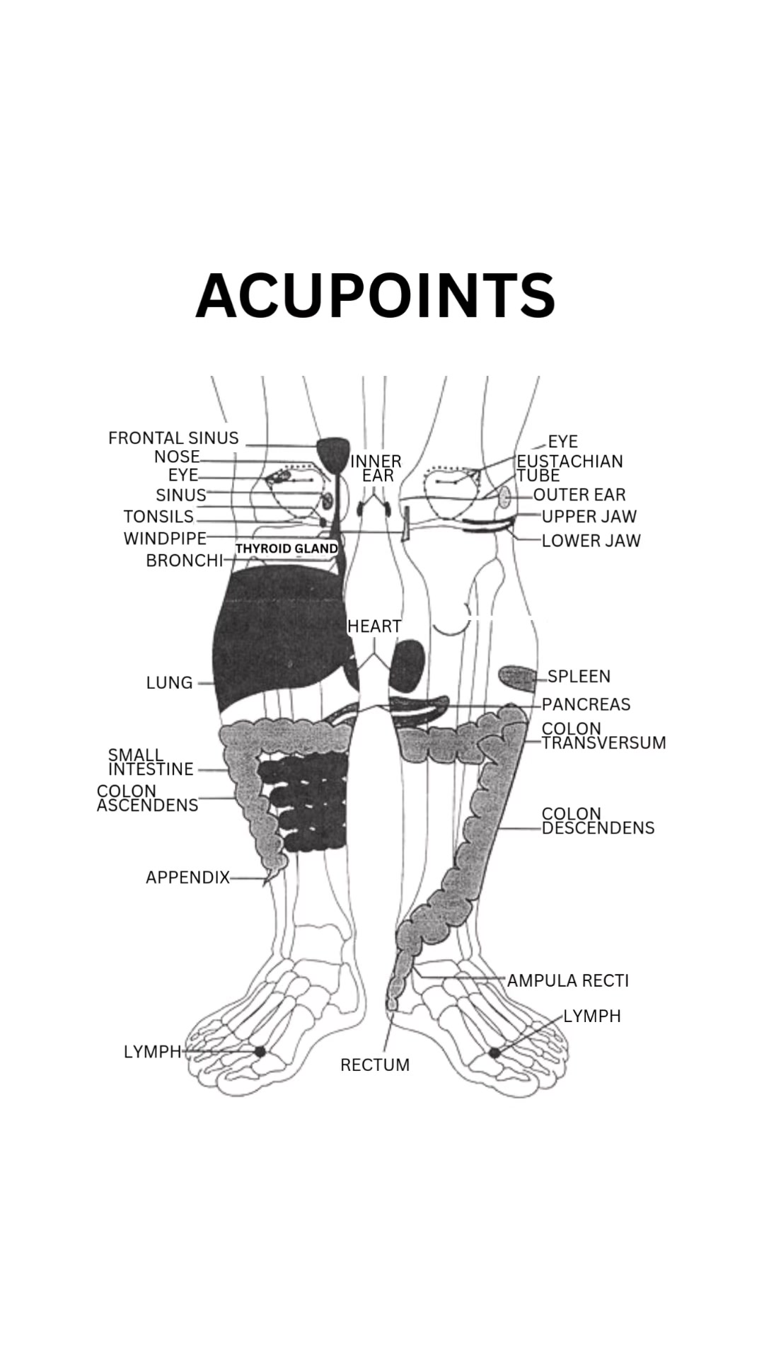 Poor circulation in your legs can be caused by conditions such as ...