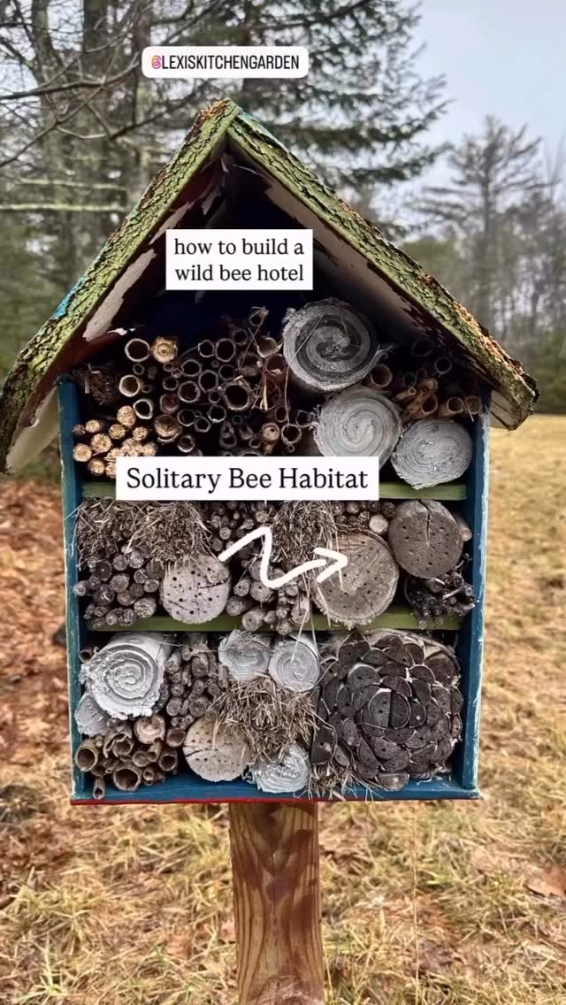 🐝How to Build a Wild Bee Hotel #Repost @lexiskitchengarden :BASIC ...