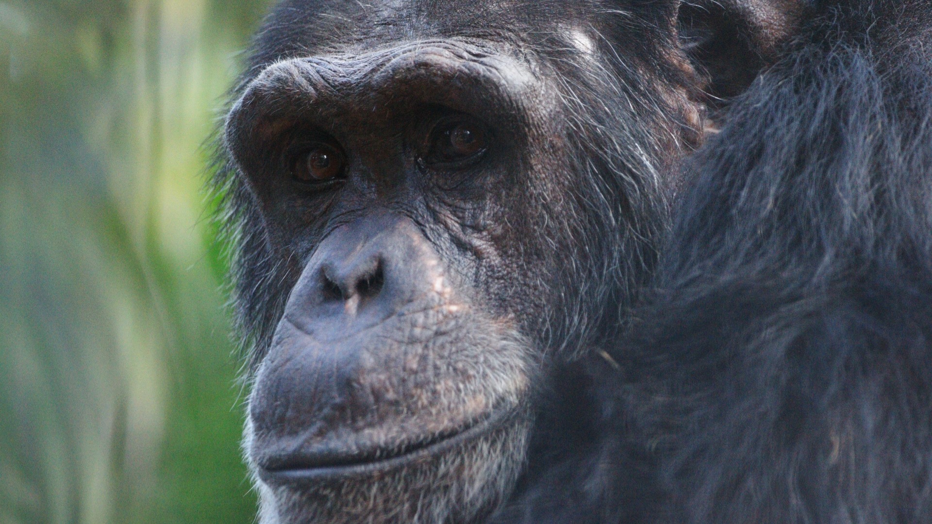 We would like to share an update from Rockhampton Zoo on our much loved ...