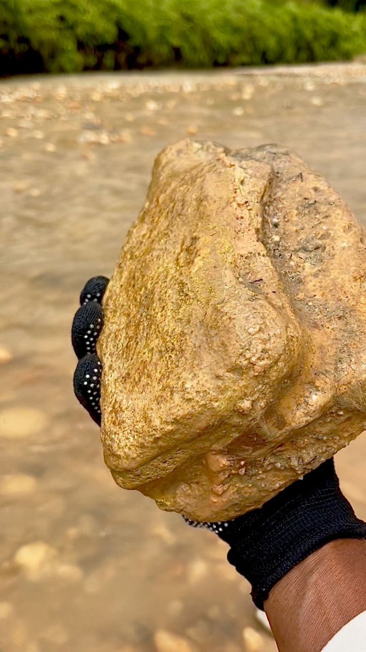 Digging up $999 worth of rocks, on a cliff from a former gold mine. # ...