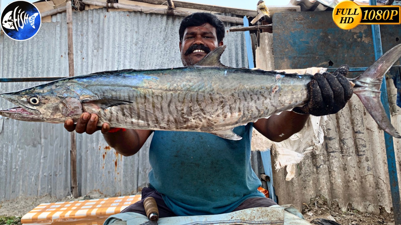 Vanjiram fish close up fish cutting shots😍🔥kf fish cuts | Vanjiram fish ...