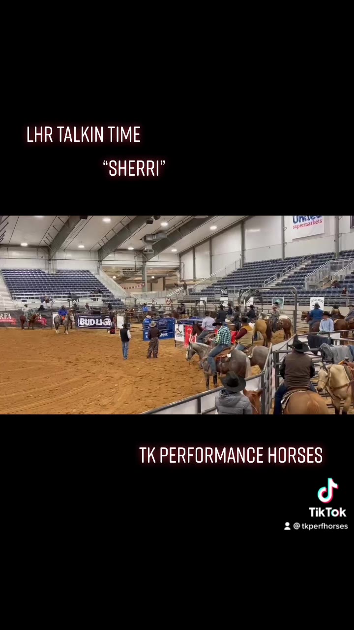 TK Performance Horses