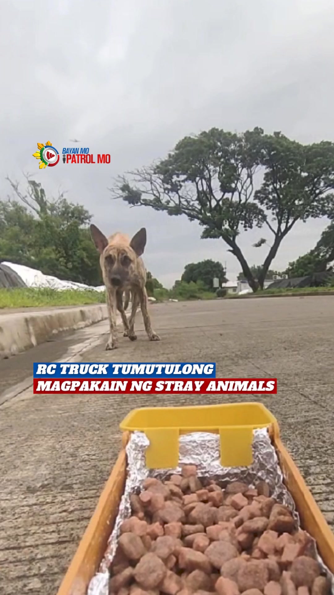 #AnimalPatrol RC TRUCK GAMIT SA PAGPAPAKAIN NG STRAY ANIMALS PANOORIN ...