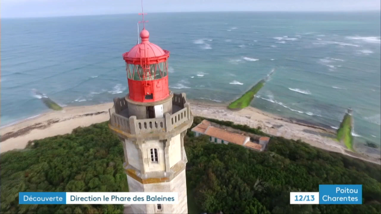 Le Phare De La Baleine Collection 2021