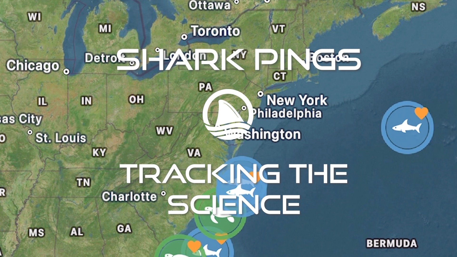OCEARCH Shark Tracking: Week 3 Shark Ping Update with Data Scientist ...