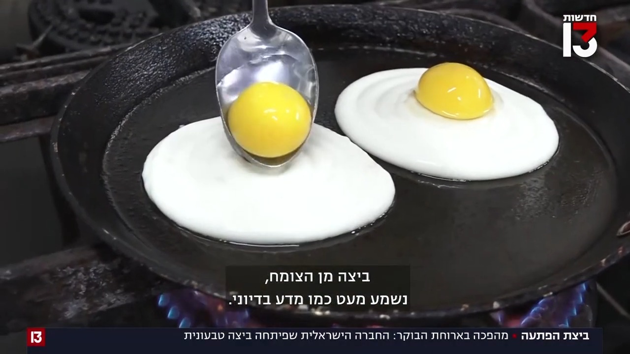 החברה הישראלית שפיתחה ביצה טבעונית! | ביצים? ביצות! 9 חודשי היריון בלי ...