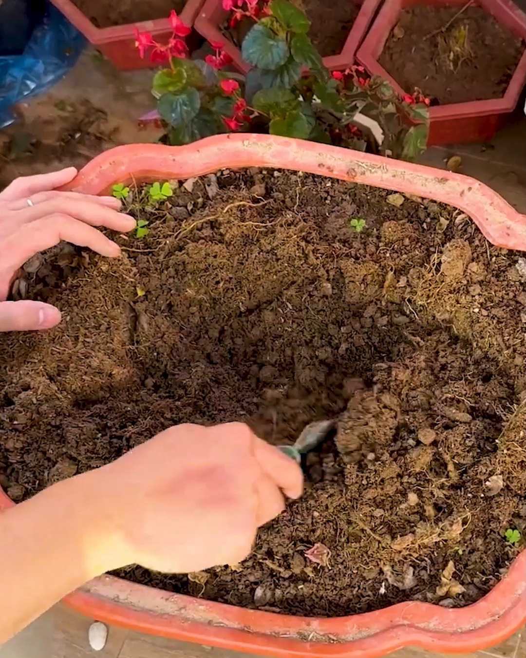 Tips to make your garden look even more beautiful!! | MetDaan DIY ...