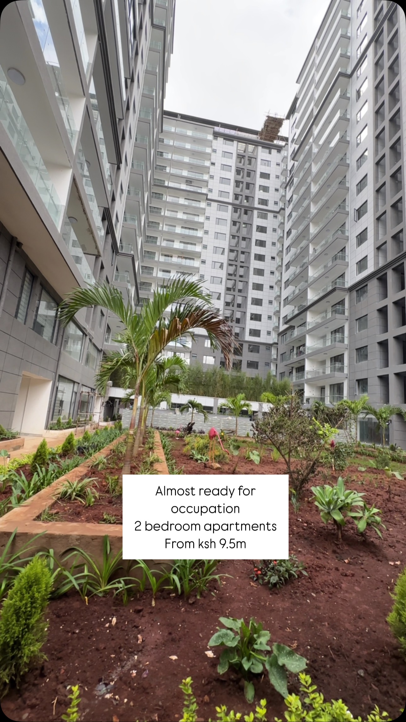 Musilli Homes on Reels | Facebook