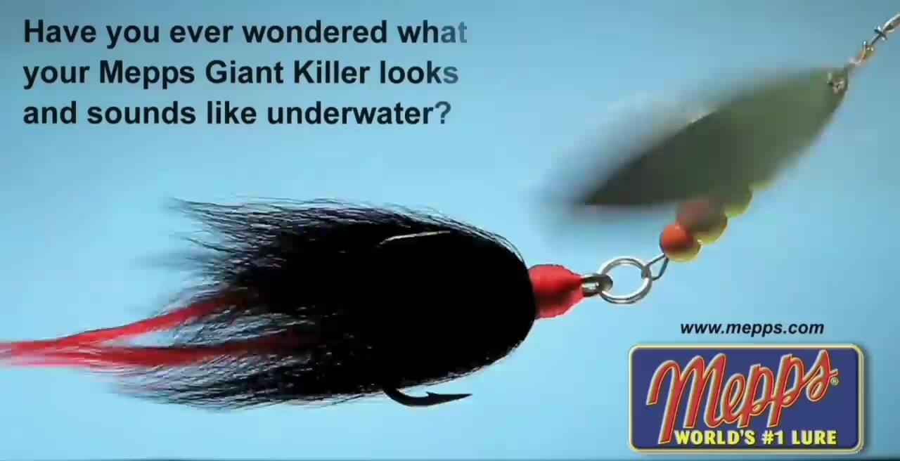 fish lure gaint killer Mepps Giant Tandem Bucktail – Musky Shop duty 3/0 trailer hook Mepps Giant Killer Redbo Scale/White