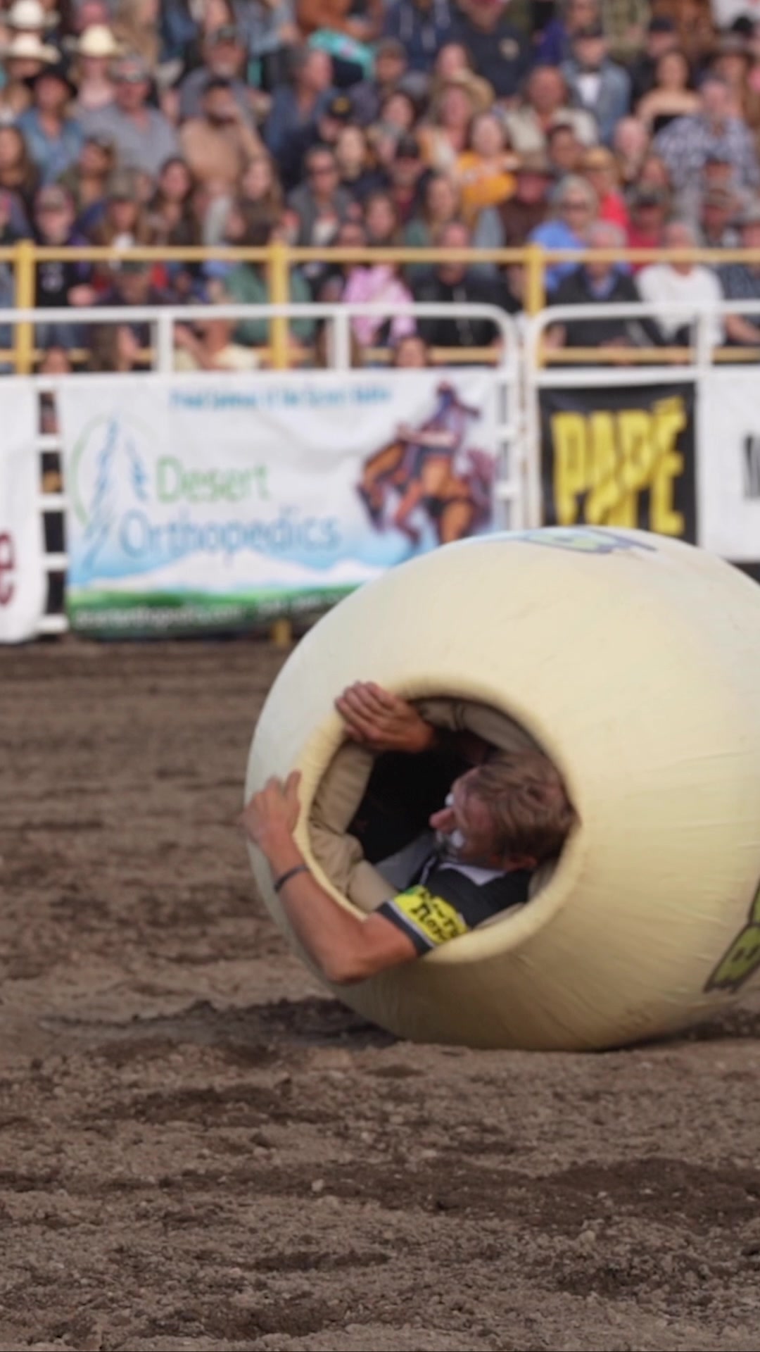 On Thursday, Punxsutawney Phil the Groundhog emerged from his burrow to ...