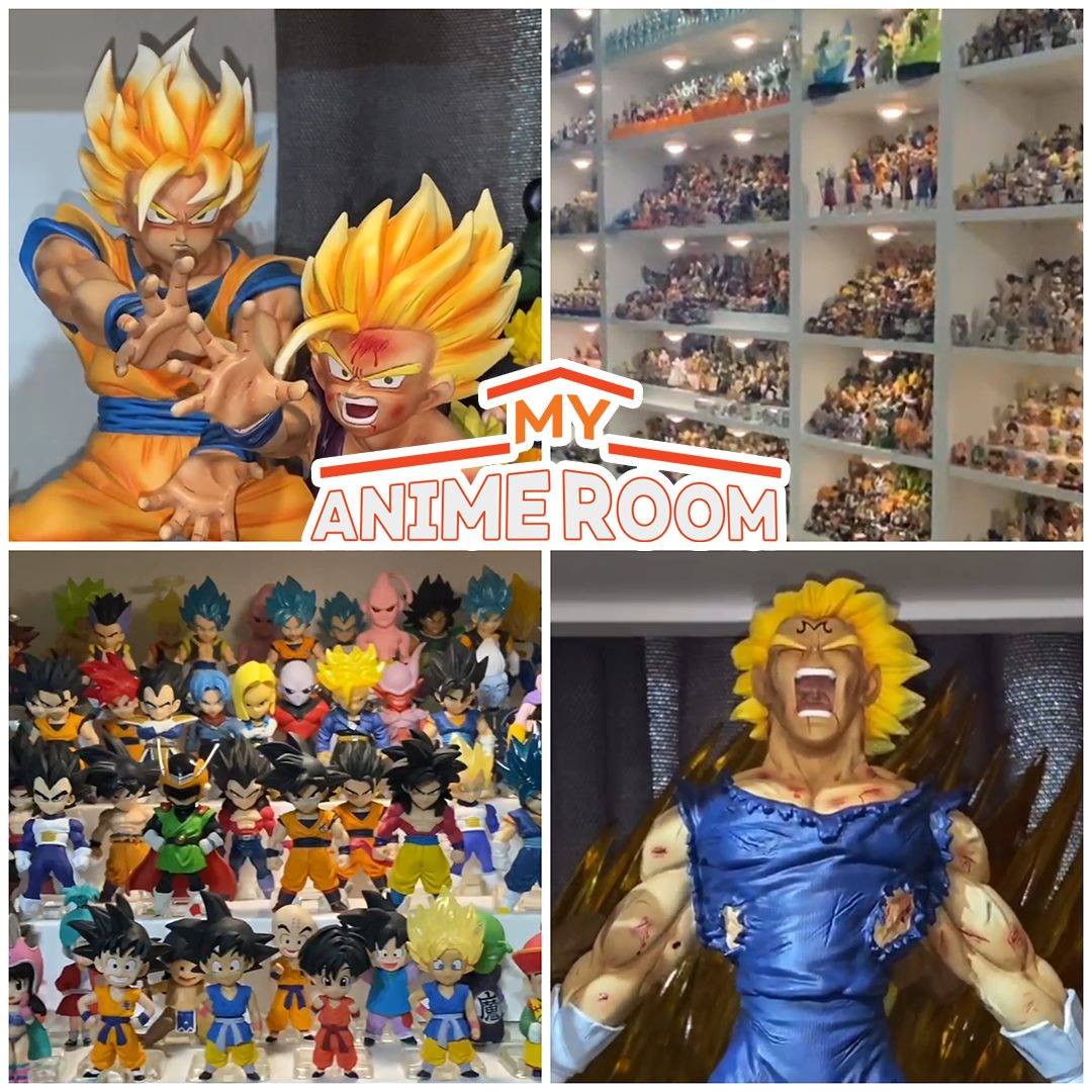 A look at one of the BIGGEST Dragon Ball collections of all time