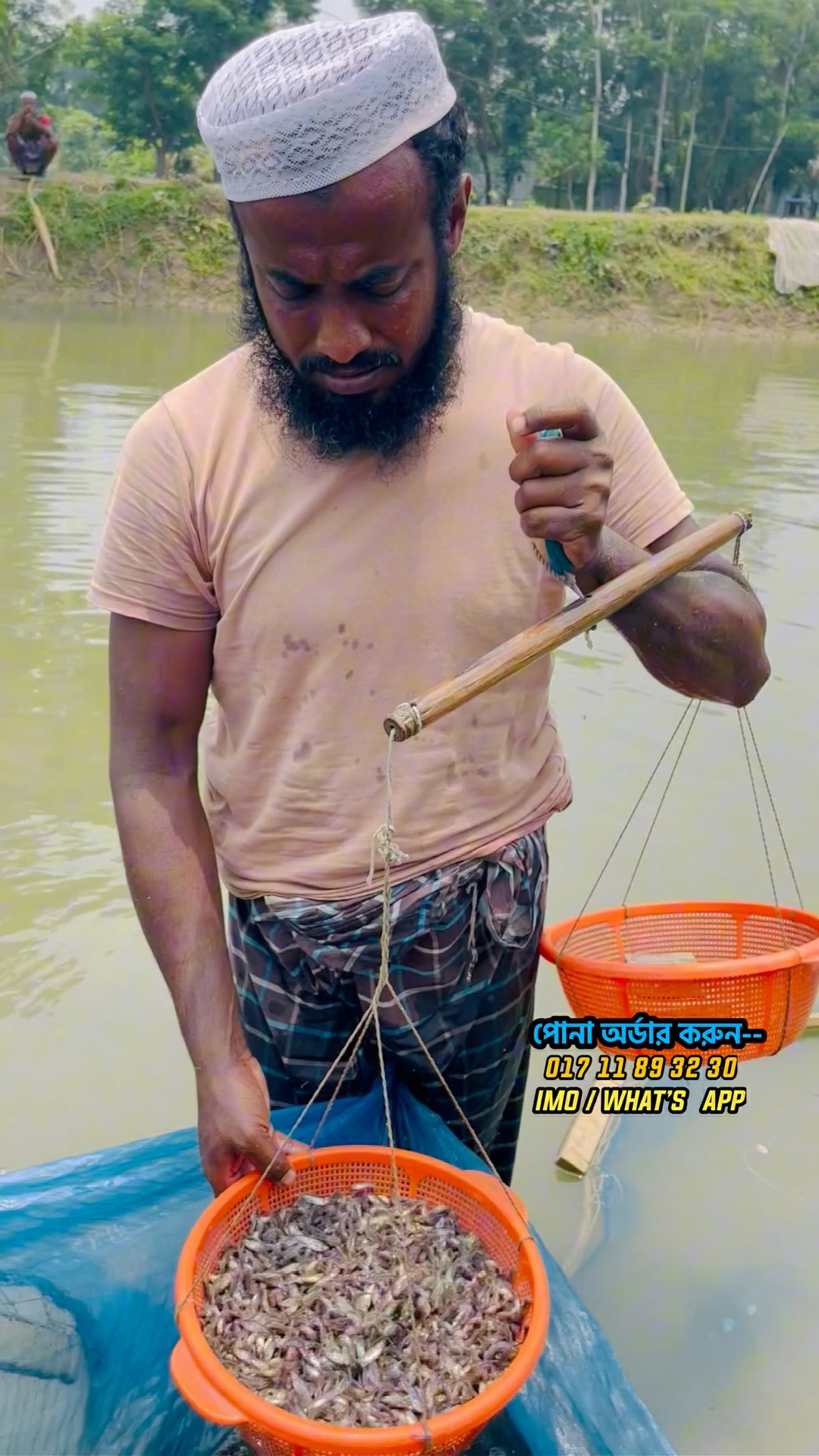মাহিরা মৎস্য হ্যাচারী - Mahira Fish Farm | Mymensingh