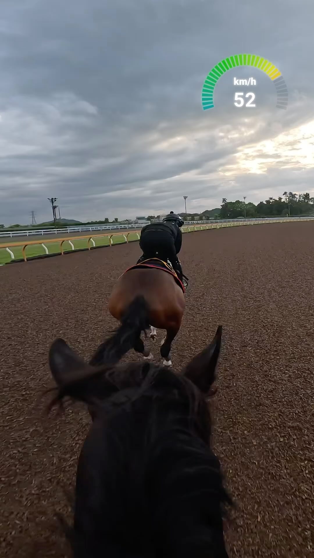 Oh Equinox, we just had to 🌟🏎 #イクイノックス | #競馬 | #日本
