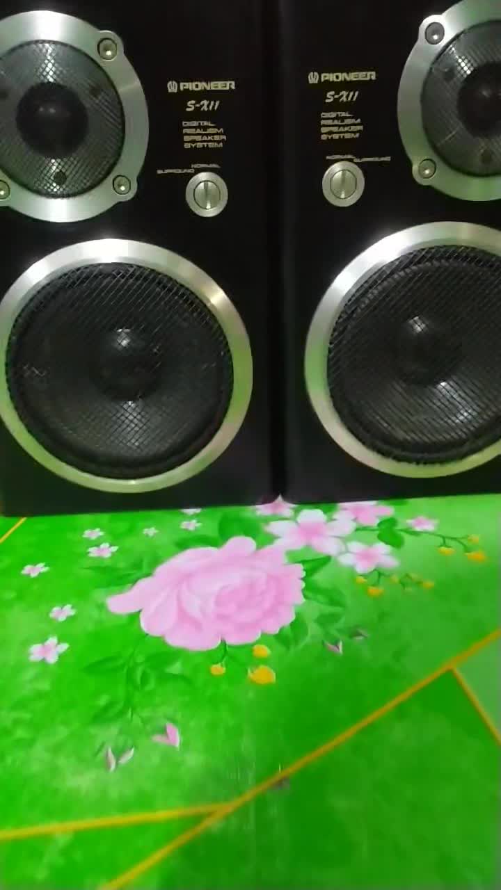 Pioneer S-X55 100w speaker