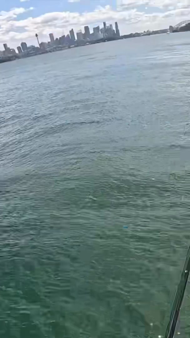 Yamaga Blanks Blue Current 100 Beta Rod Performance for Surf Fishing