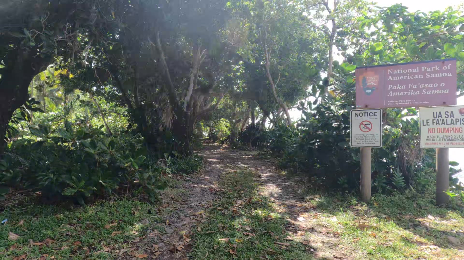 View of the tranquil trailhead at Pola. Tall trees and lush greenery ...
