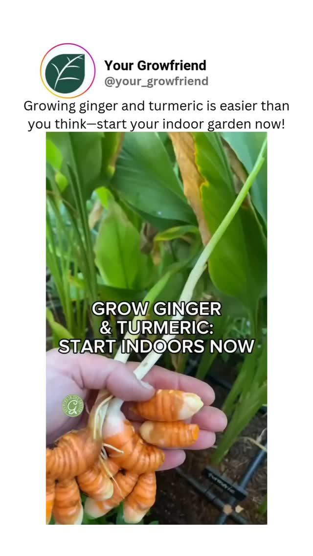 Follow @your_growfriend for more amazing plant care tips and tricks!🌿 ...