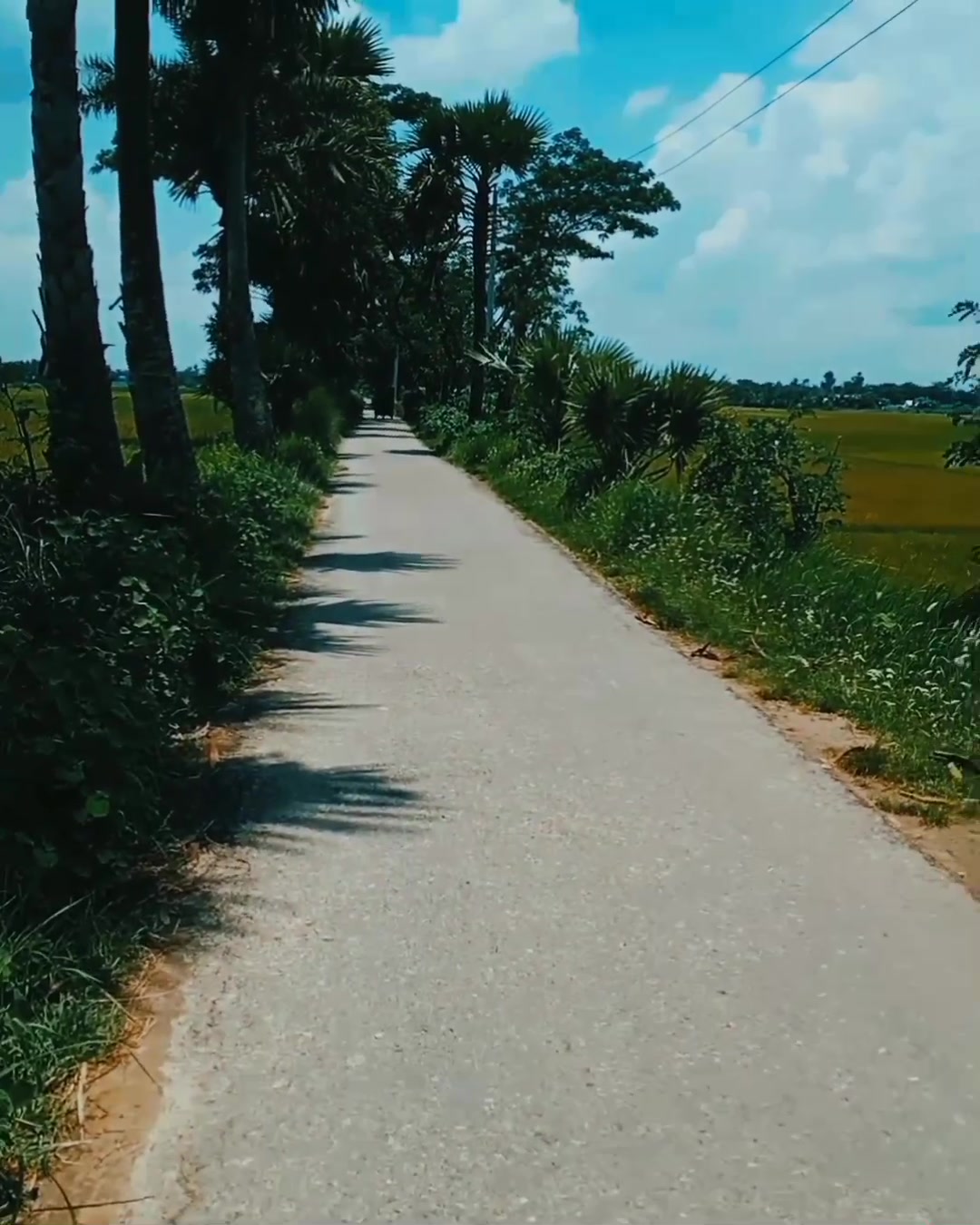 Rk RIPON KHAN