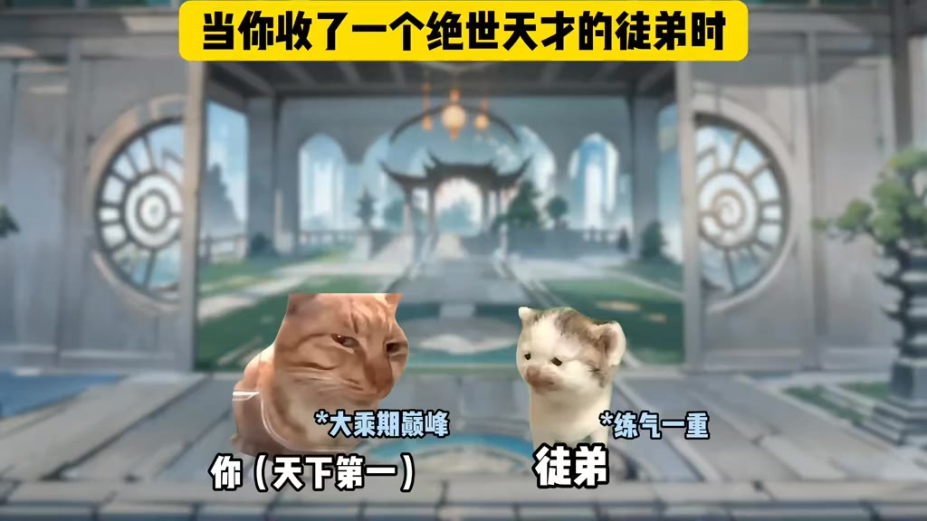 当你收了一个绝世天才徒弟 #猫meme #猫meme小剧场 #故事来源于网络 #真实改编 #每日一笑 #抽象 #fyp #喵喵小剧场 | 喵喵 ...