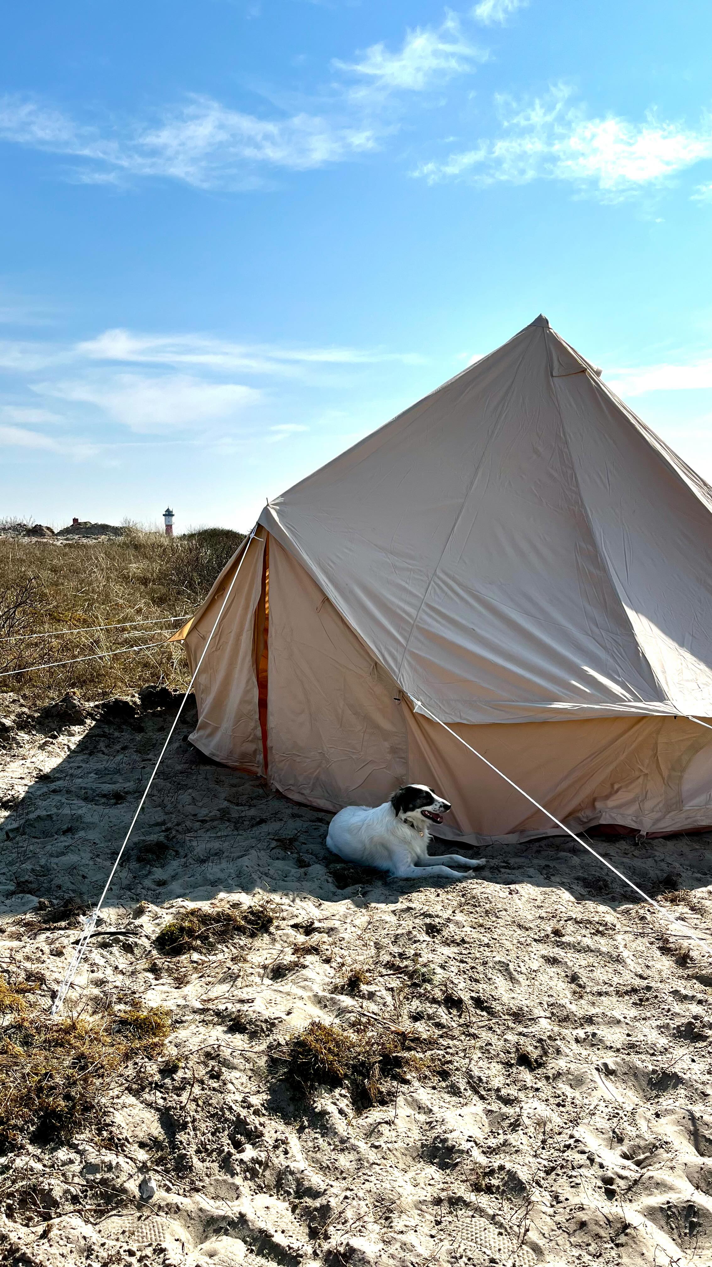 elektrische markise 3 x 2 5m Eclipse Vollkassettenmarkise weiß elektrisch 3,0x2,5m Tuch: Grau Color:Black - Left Side Markisen Gebraucht, Möbel gebraucht Category:E Bike Trekking_Ergotec Charisma 90mm 20Grad